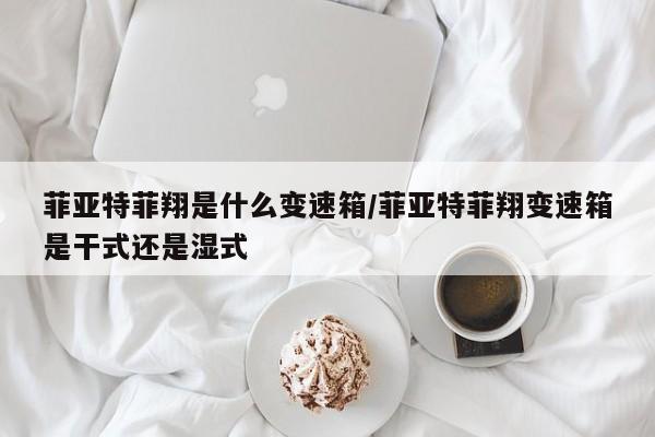 菲亚特菲翔是什么变速箱/菲亚特菲翔变速箱是干式还是湿式